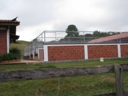 canil 11.jpg