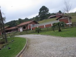 canil 10.jpg