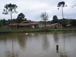 canil 7.jpg